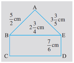 Page 31 Chapter 2 Class 7th Non-Rationalised NCERT 2019-20